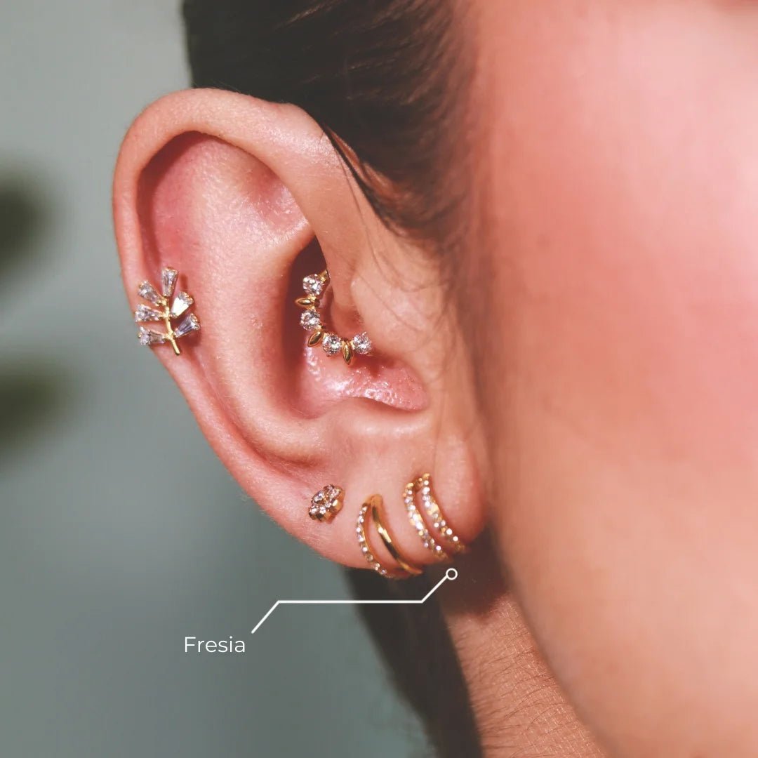 Aro Fresia Titanio Grado Implante con Doble Zirconia – Helix y Lobulo | Helix Body Jewelry - Helix Body Jewelry - Tienda Online de Piercings