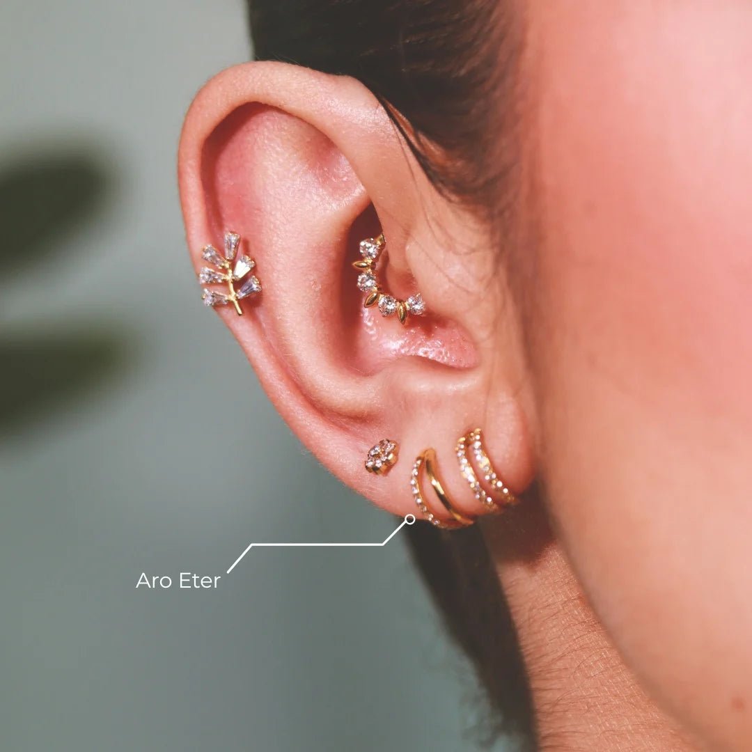 Aro Eter Titanio Grado Implante | Diseño Naturaleza Doble Pedrería - Helix Body Jewelry - Tienda Online de Piercings
