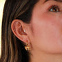 Pendientes Tipo Candonga con Moños Delicados - Acero Inoxidable Dorado y Plateado - Helix Body Jewelry - Tienda Online de Piercings