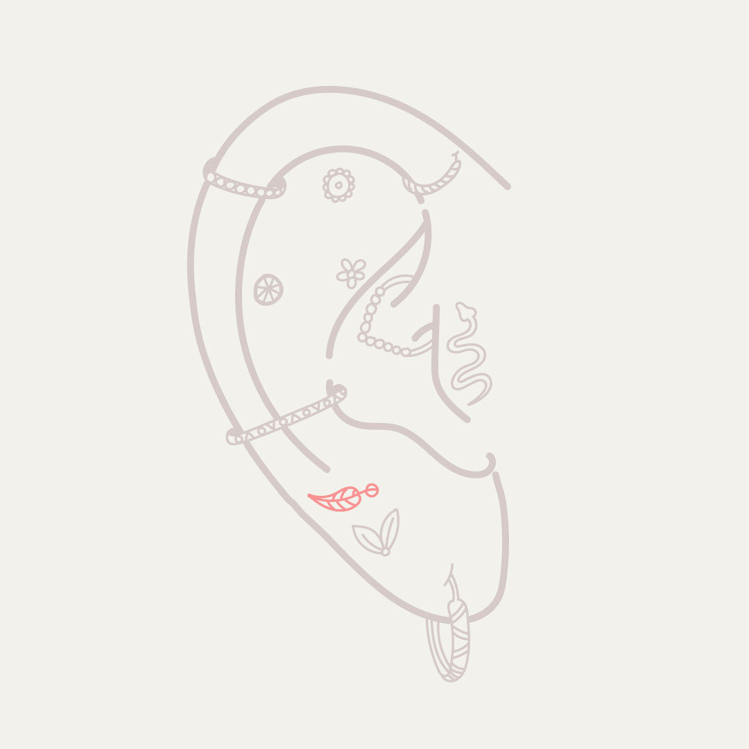 Upper Lobe