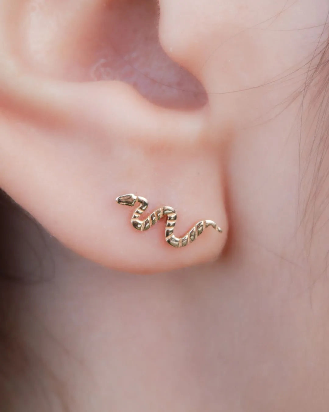 Serpiente Oro 18K