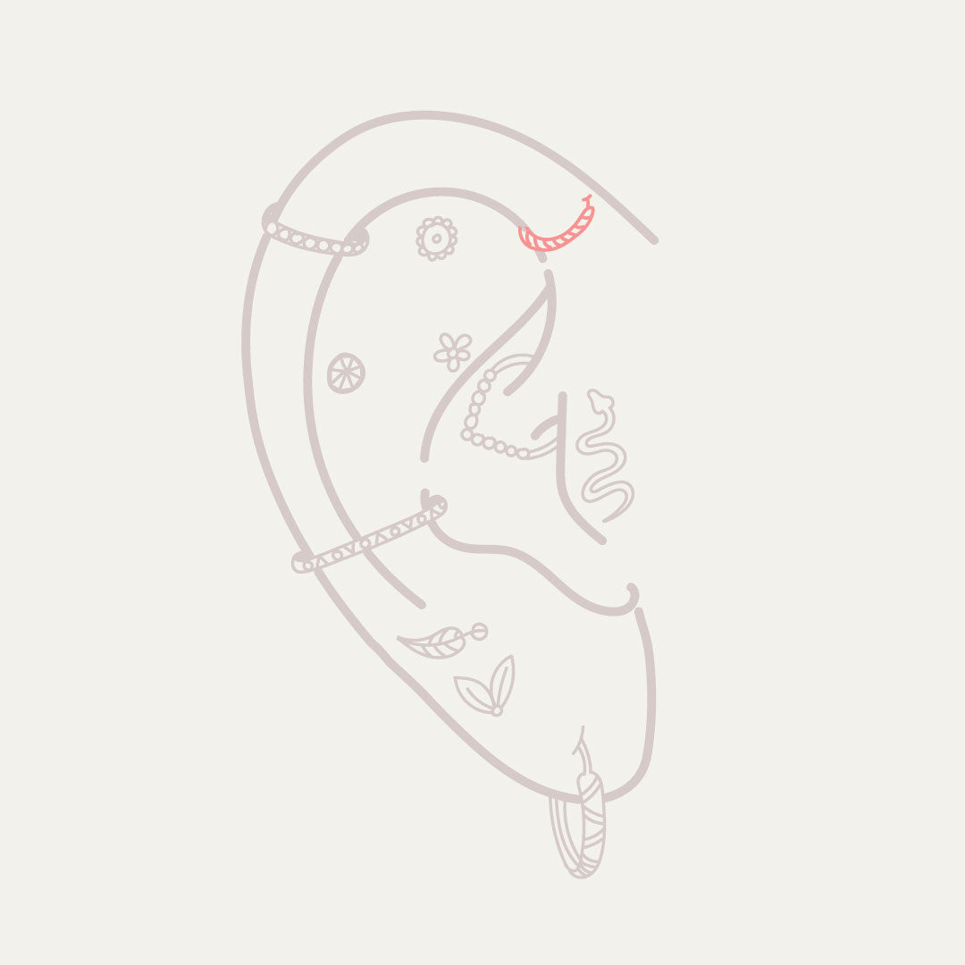 Forward Helix