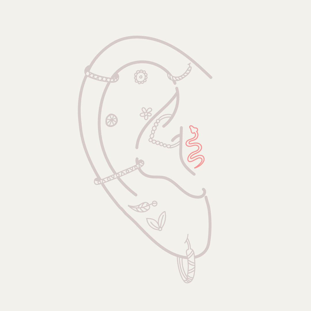 Tragus