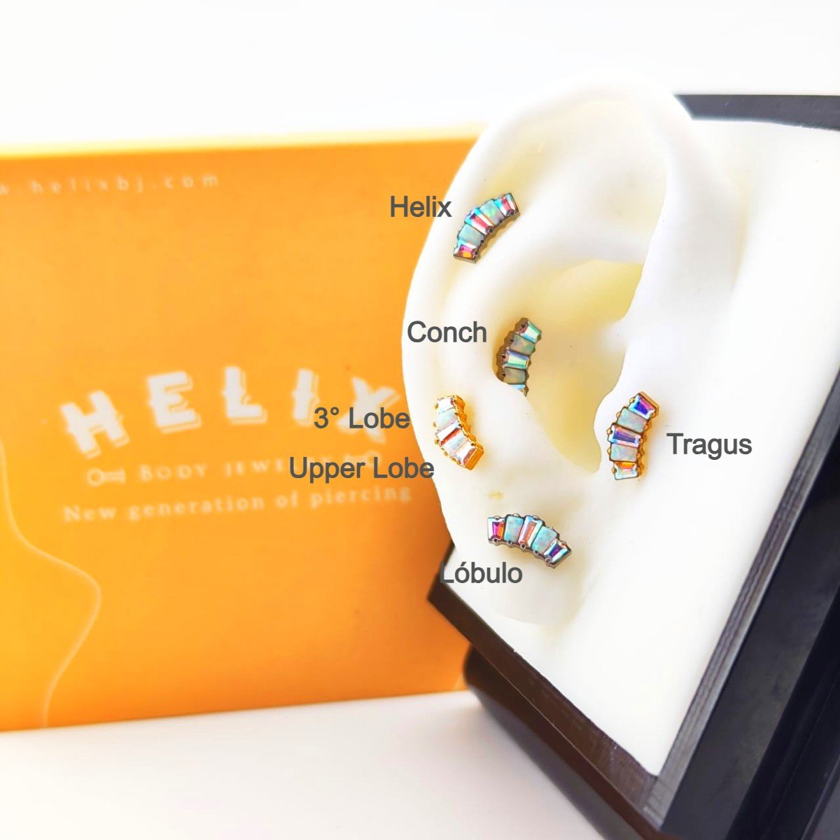 Piercing en forma de corona - Dinasty - Helix Body Jewelry - Tienda Online de Piercings