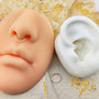 Luxury Atena | Oro 14k - Helix Body Jewelry - Tienda Online de Piercings
